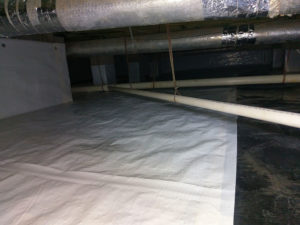 AuntieGen Mold Remediation Radon Testing Crime Scene Cleanup crawlspace encapsulation
